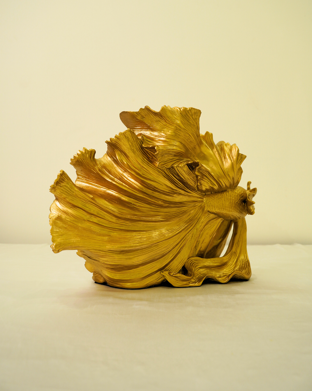 Golden Betta Fish
