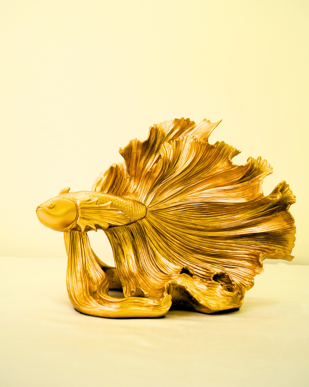Golden Betta Fish