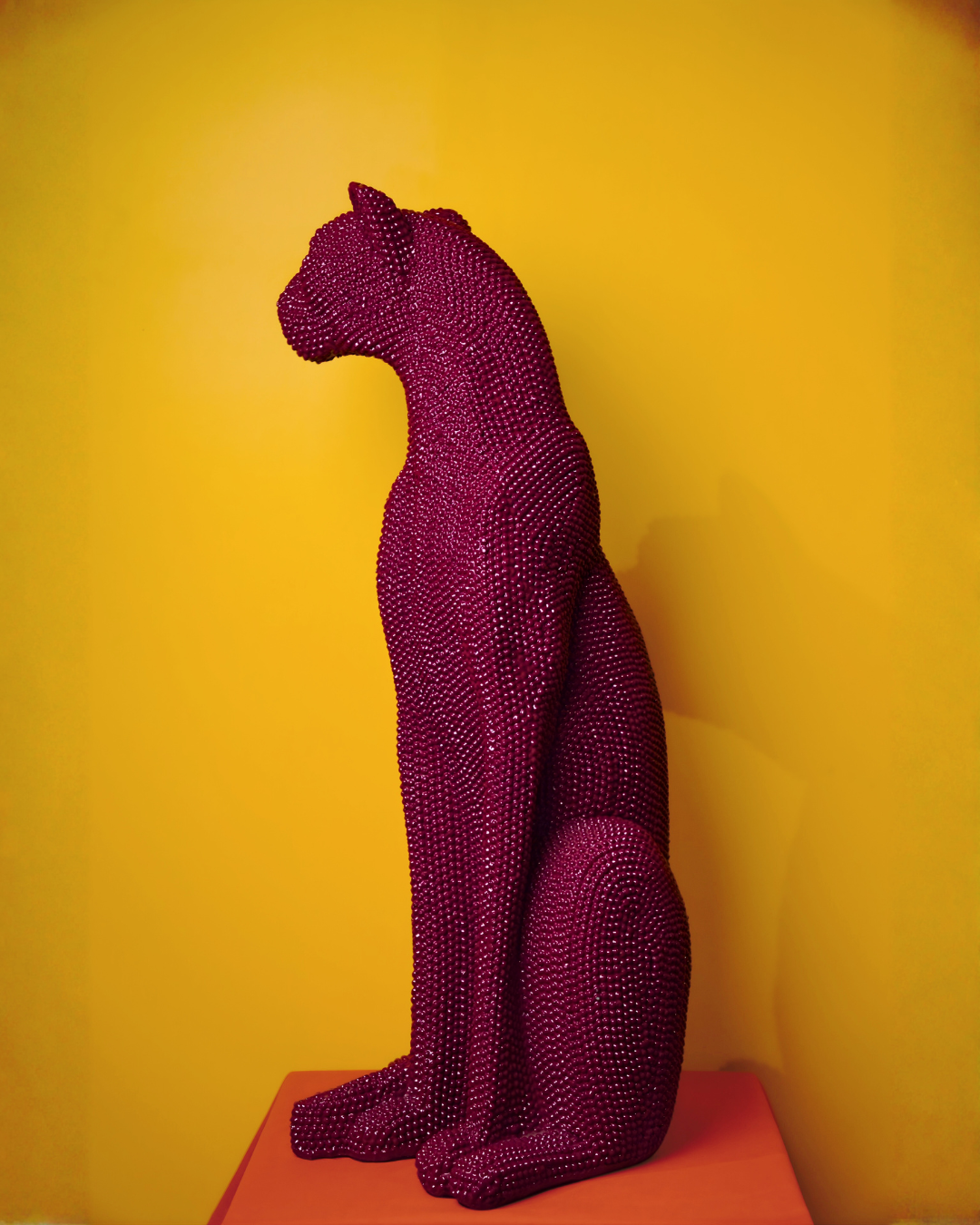 Dotted Panther