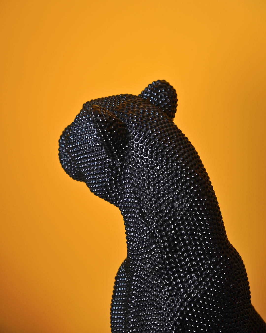 Dotted Panther