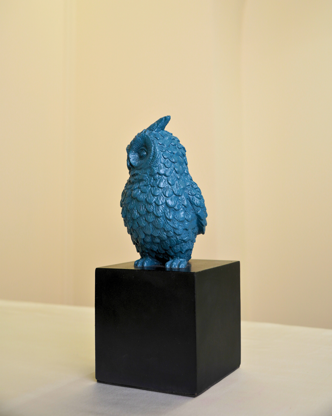 Wise Owl Guardian of Good Fortune | Symbol of Fortune & Protection for Indian Homes