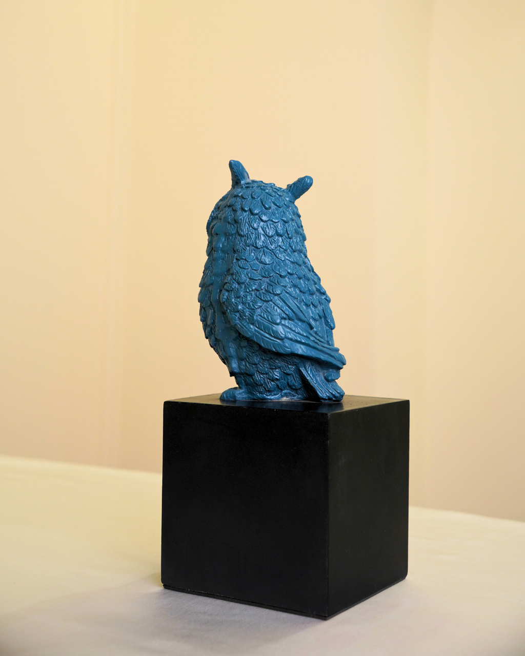 Wise Owl Guardian of Good Fortune | Symbol of Fortune & Protection for Indian Homes