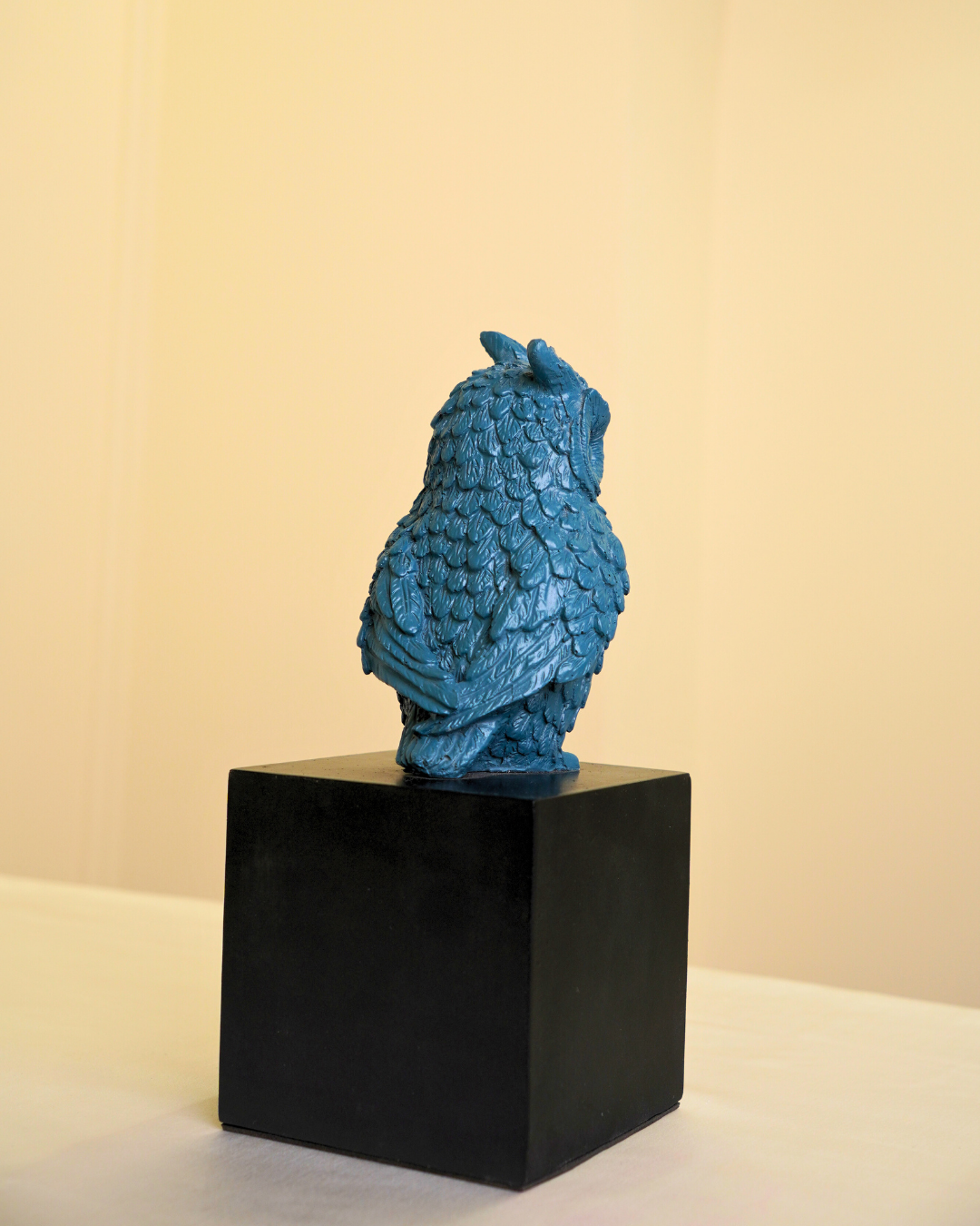 Wise Owl Guardian of Good Fortune | Symbol of Fortune & Protection for Indian Homes