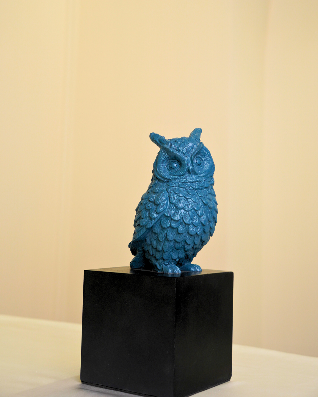 Wise Owl Guardian of Good Fortune | Symbol of Fortune & Protection for Indian Homes